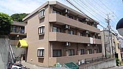 パーシモンズヒルII 203