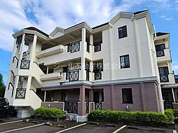 M，Sビューラー