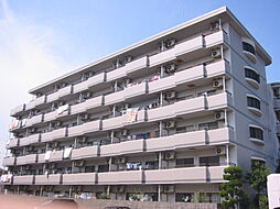 メゾンヒカリ 302