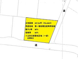 新渡戸通り227坪