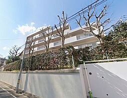 コープ野村花壇Ｃ 204