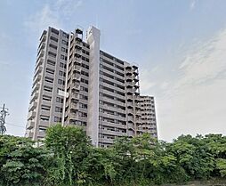 ザ・センタータウンズパラッシオ小田原参番館 1205