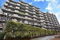 ロイヤルシャトー泉中央ヒルズ 803