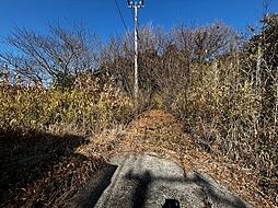 淡路市江井土地