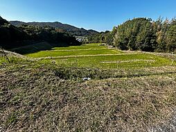 淡路市室津農地