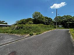 淡路市生田大坪土地