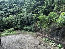 南あわじ市中条中筋山林