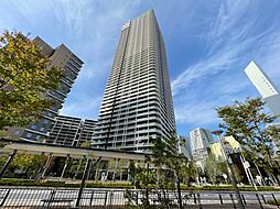 ＳＫＹＤＵＯ　ＨＡＲＵＭＩＦＬＡＧ　T