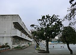 瀬谷区二ツ橋町　建築条件無し土地