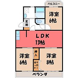 エバーグリーンフィールド