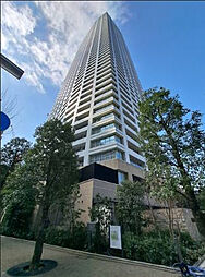 ザ・パークハウス西新宿タワー60 1102