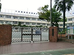 世田谷区梅丘3丁目　土地