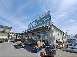 エスポワール三郷 301