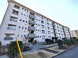 （中古マンション）小金原団地7-1街区