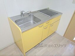 クリザンテェーモ 803