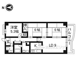 ダイヤパストラル 502