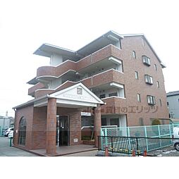 ミーテ・パラッツオII 103