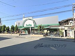 シャーメゾン　スターセント 202