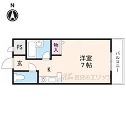 コレクション津田