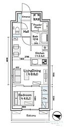 ディオスプラド 107