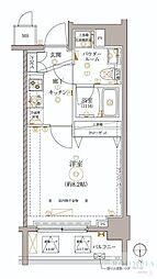 レアライズ高田馬場 501