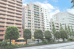 〜誠之小学校区の新規リノベマンション〜シャトー文京