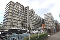 〜ペット複数飼育OK〜東大島ハイライズ