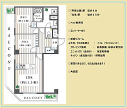 エミネンス白楽 406