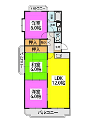 エクセルいまはせ 305