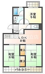 キャメロンハイライト 105