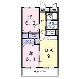 クレマチス 202
