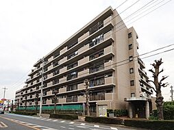 ハイラーク若葉マロニエアベニュー