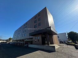 パープルマウンテン 401