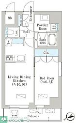 グレースティリア