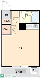 オレンジコートヒヨシ 102
