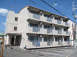 ドリーム・タナカ