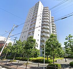 ディアエスタミオ南住吉壱番館 203