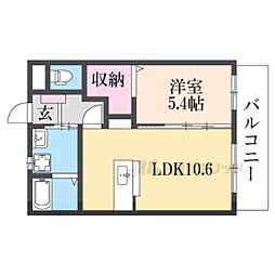 丹波篠山市杉