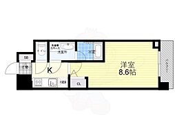 スプランディッドII 709