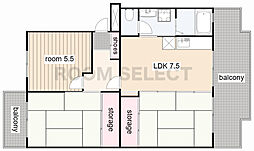 エストゥペンダ 203