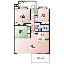 パルシオ東山元町 202