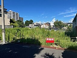 堺市東区西野の土地