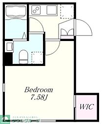 STRIPES 不動前 204