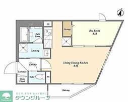 フラッフィー西早稲田 503