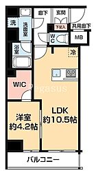 ＡＲＣＯＢＡＬＥＮＯ ＯＳＨＩＡＧＥ ＢＬＯＳＳＯＭ