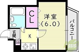 ステラハウス24