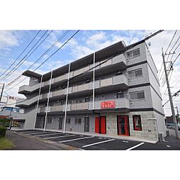 Y＆M　L’pur （ルピア） 205