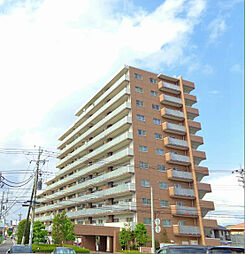 コートアベニュー泉が丘 106