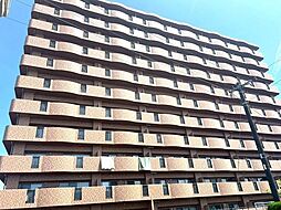 サントノーレ花ヶ島