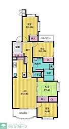 Ｃｏｕｒｔ　Ｈｉｌｌｓ　白楽東